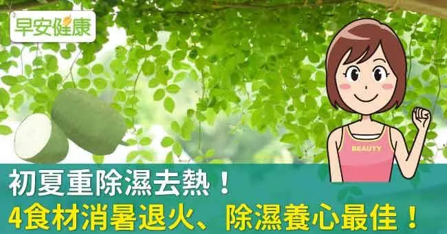初夏重除濕去熱！4食材消暑退火、除濕養心最佳！