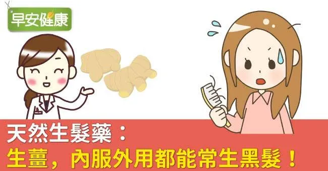 天然生髮藥：生薑，內服外用都能常生黑髮！