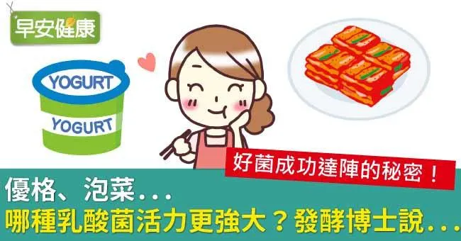 優格、泡菜...哪種乳酸菌活力更強大？發酵博士說...