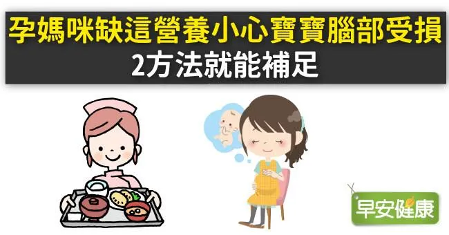孕媽咪缺這營養小心寶寶腦部受損！2方法就能補足