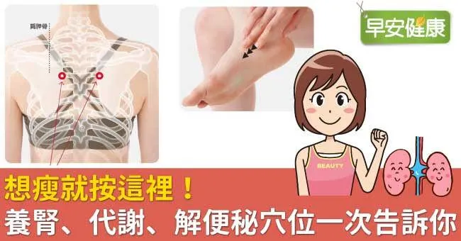 想瘦就按這裡！養腎、代謝、解便秘穴位一次告訴你