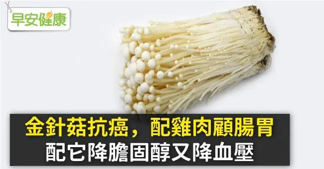 金針菇抗癌，配雞肉顧腸胃、配它降膽固醇又降血壓