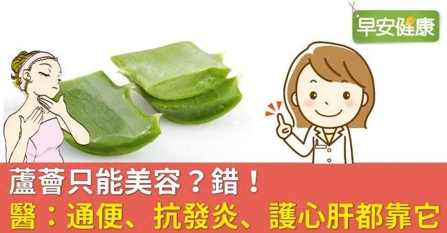 蘆薈只能美容？錯！醫：通便、抗發炎、護心肝都靠它