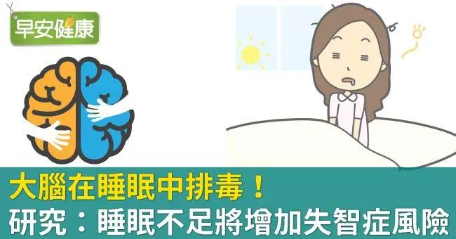 大腦在睡眠中排毒！研究：睡眠不足將增加失智症風險