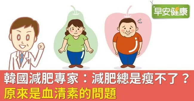 韓國減肥專家：減肥總是瘦不了？原來是血清素的問題