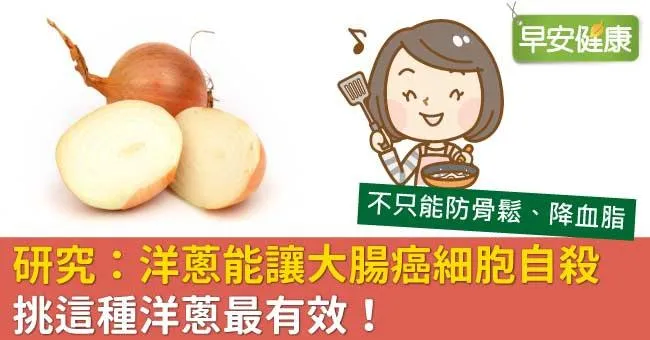 研究：洋蔥能讓大腸癌細胞自殺，挑這種洋蔥最有效！