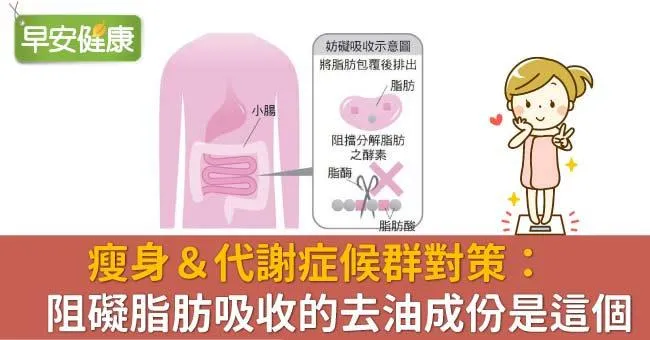 瘦身＆代謝症候群對策：阻礙脂肪吸收的去油成份是這個