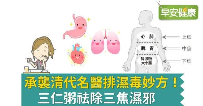 承襲清代名醫排濕毒妙方！三仁粥祛除三焦濕邪