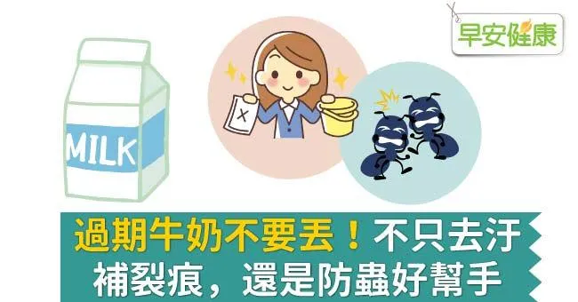 不小心喝到過期牛奶怎辦？牛奶放過期竟變身去汙、補裂痕、防蟲好幫手
