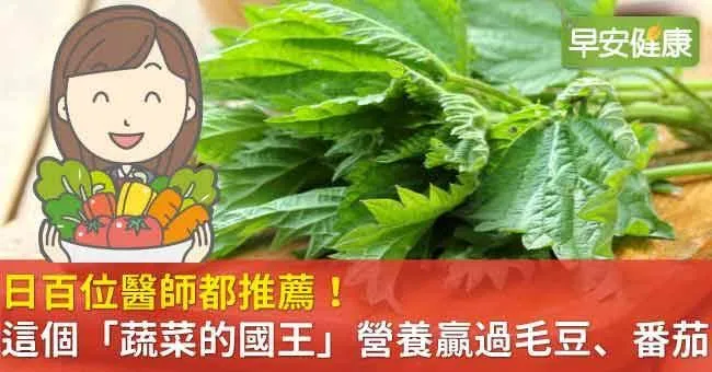 日百位醫師都推薦！這個「蔬菜的國王」營養贏過毛豆、番茄