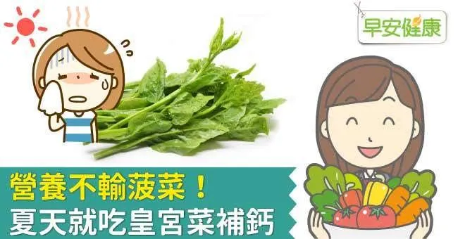 營養不輸菠菜！夏天就吃皇宮菜補鈣