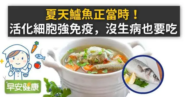 夏天鱸魚正當時！活化細胞強免疫，沒生病也要吃
