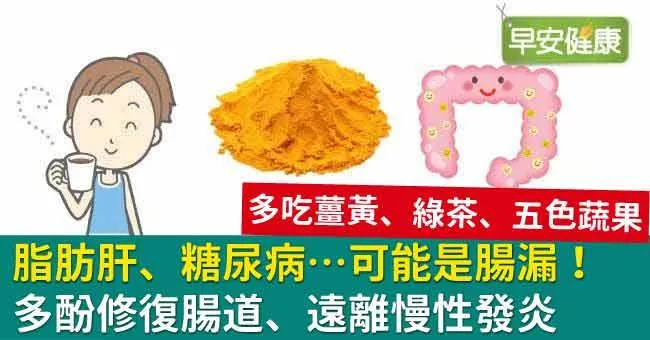 脂肪肝、糖尿病…可能是腸漏！多酚修復腸道、遠離慢性發炎