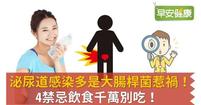 泌尿道感染多是大腸桿菌惹禍！4禁忌飲食千萬別吃！