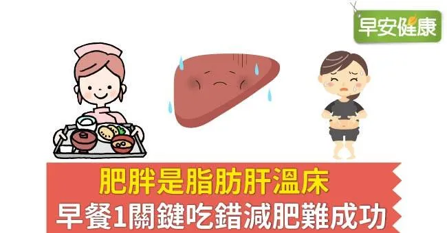 肥胖是脂肪肝溫床，早餐1關鍵吃錯減肥難成功