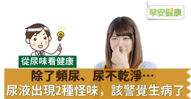 除了頻尿、尿不乾淨…尿液出現2種怪味，該警覺生病了