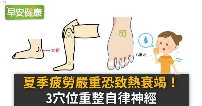 夏季疲勞嚴重恐致熱衰竭！3穴位重整自律神經