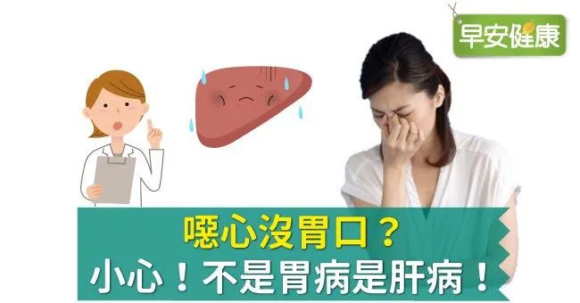 噁心沒胃口​？​小心！不是胃病是肝病！