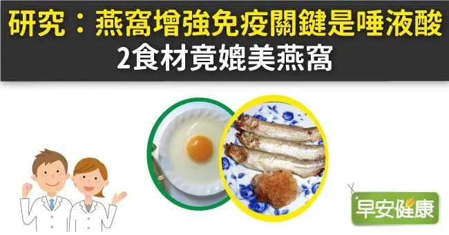 研究：燕窩增強免疫關鍵是唾液酸，2食材竟媲美燕窩