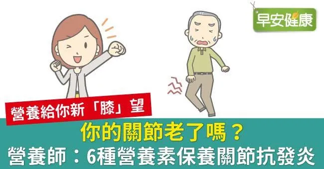 你的關節老了嗎？營養師：6種營養素保養關節抗發炎