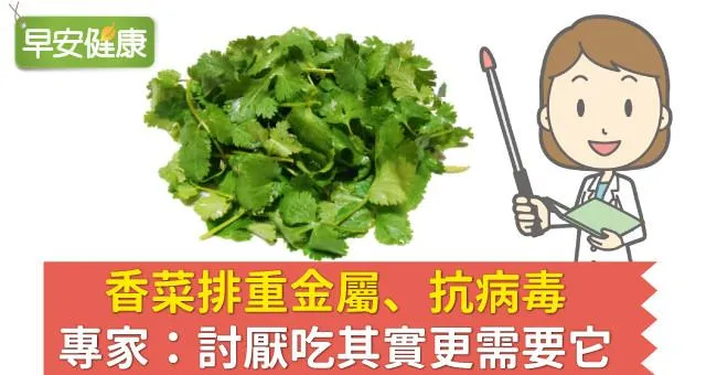 香菜排重金屬、抗病毒，專家：討厭吃其實更需要它