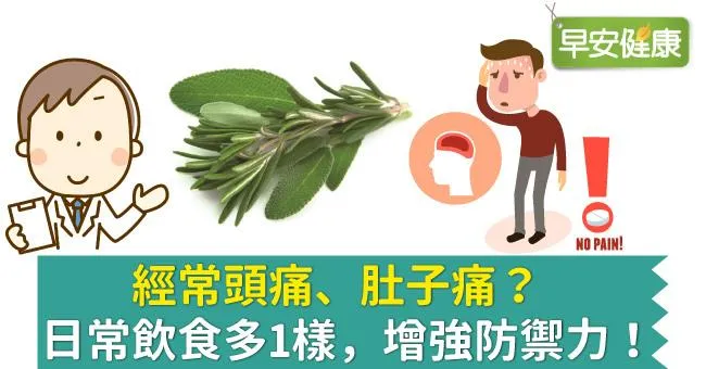 經常頭痛、肚子痛？日常飲食多1樣，增強防禦力！