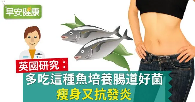 英國研究：多吃這種魚培養腸道好菌，瘦身又抗發炎