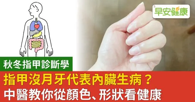 指甲沒月牙代表內臟生病？中醫教你從顏色、形狀看健康