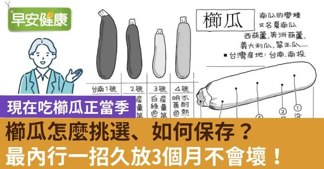 櫛瓜怎麼挑選、如何保存？最內行一招久放3個月不會壞！