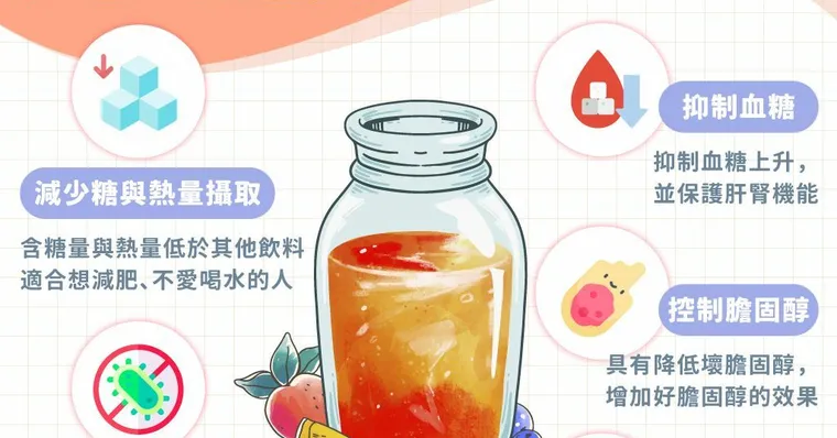 康普茶是什麼、有哪些功效？什麼時候喝最好？從副作用到自製做法一次看！