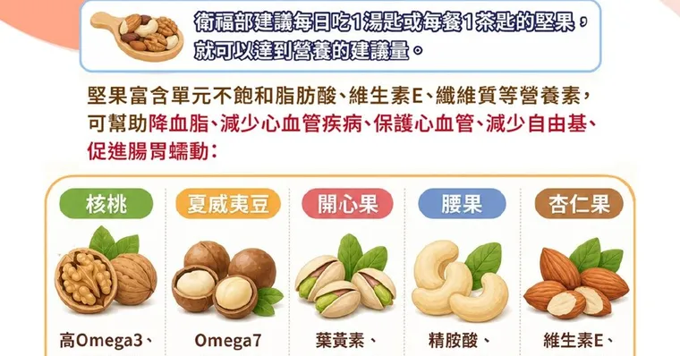 堅果好處大公開！專家教你怎麼吃對堅果（附5大堅果營養對比）