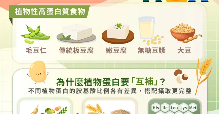 高蛋白怎麼吃？10種高蛋白質食物清單｜植物性高蛋白聰明選