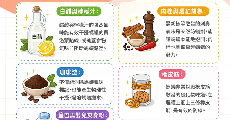 家裡有螞蟻怎麼辦？教你3步驟消滅螞蟻SOP！