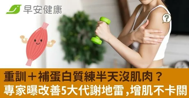 重訓＋補蛋白質練半天沒肌肉？專家：改善5大代謝地雷，增肌不卡關