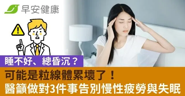 睡不好、總昏沉？可能是粒線體累壞了！醫籲做對3件事告別慢性疲勞與失眠