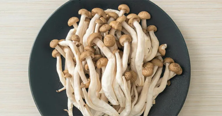 鴻禧菇不洗也能煮，但記得別生吃！1招保存不怕浪費好食材