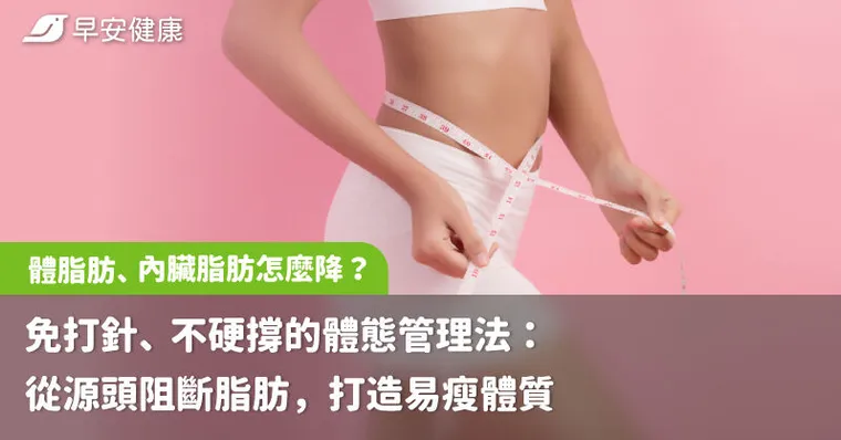 體脂肪、內臟脂肪怎麼降？免打針、不硬撐的體態管理法：從源頭阻斷脂肪，打造易瘦體質