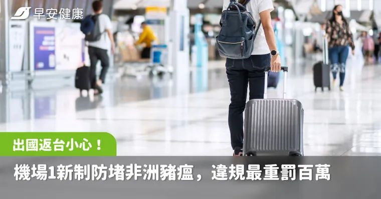 出國返台小心！台灣機場「1新制」防堵非洲豬瘟，違規最重罰百萬元