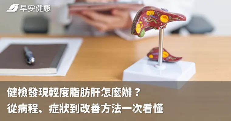健檢發現輕度脂肪肝怎麼辦？ 從病程、症狀到改善方法一次看懂