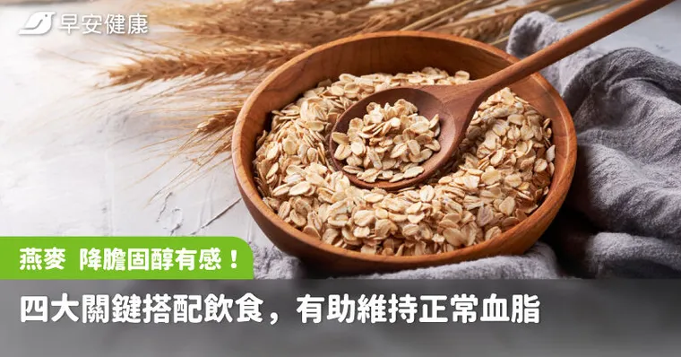 燕麥 降膽固醇有感！四大關鍵搭配飲食，有助維持正常血脂