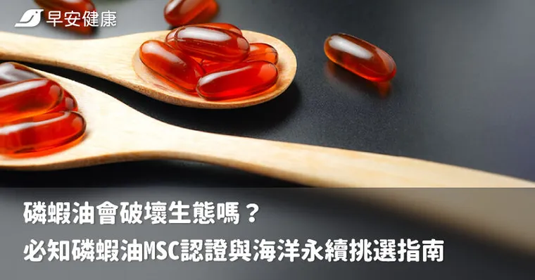 磷蝦油會破壞生態嗎？必知磷蝦油MSC認證與海洋永續挑選指南