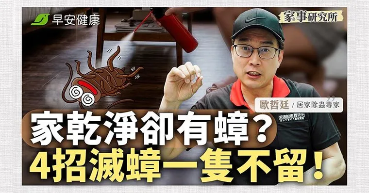 家裡再乾淨也有小強？除蟲專家曝「正確滅蟑法」一隻不留！