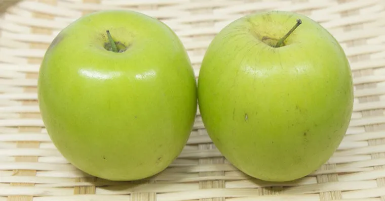 棗子品種6款一次看懂！棗子營養有哪些？清脆香甜怎麼挑？
