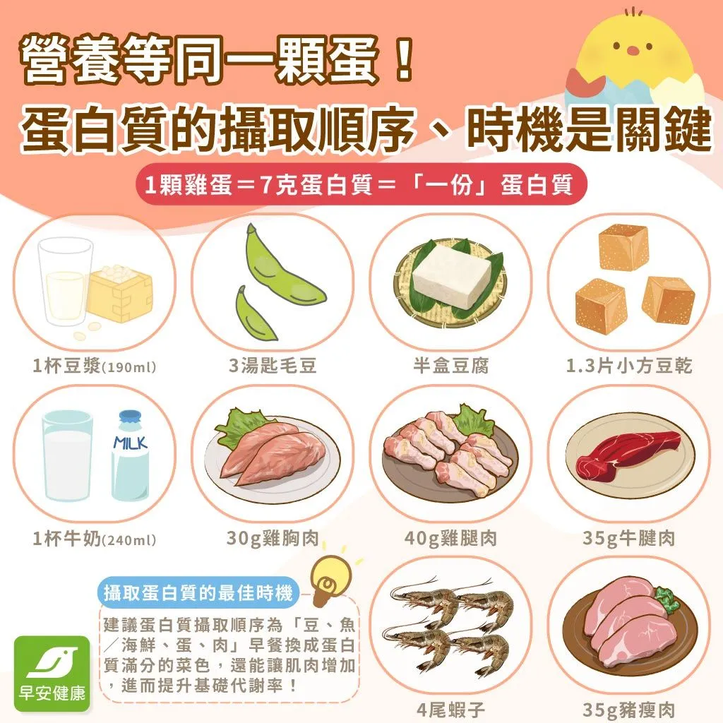 蛋白質攝取量多少才夠？解析高蛋白食物排行與增肌減脂吃法
