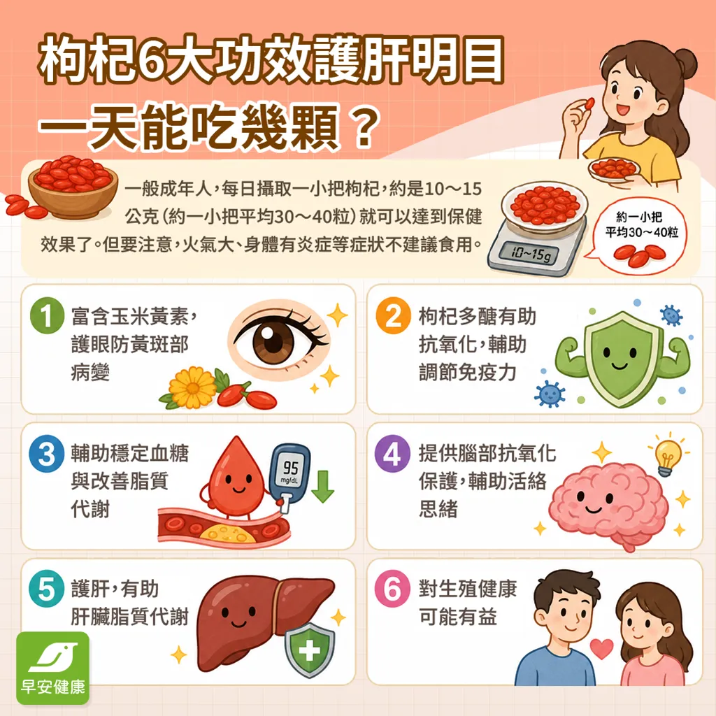 枸杞6大功效護肝明目，一天能吃幾顆？紅棗枸杞茶與枸杞葉正確煮法