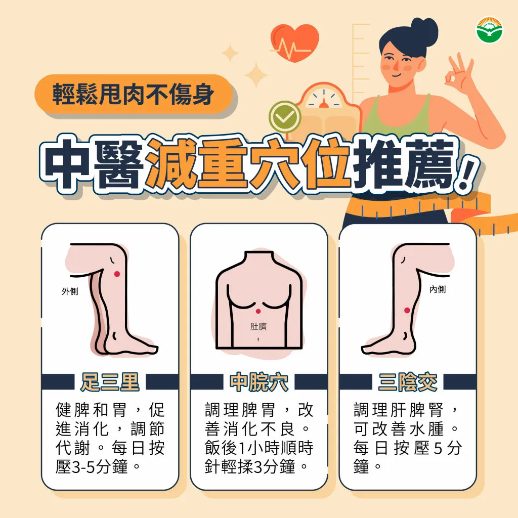 馬光中醫_減重穴位推薦