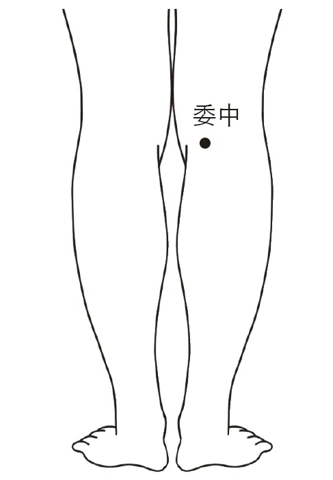 委中穴