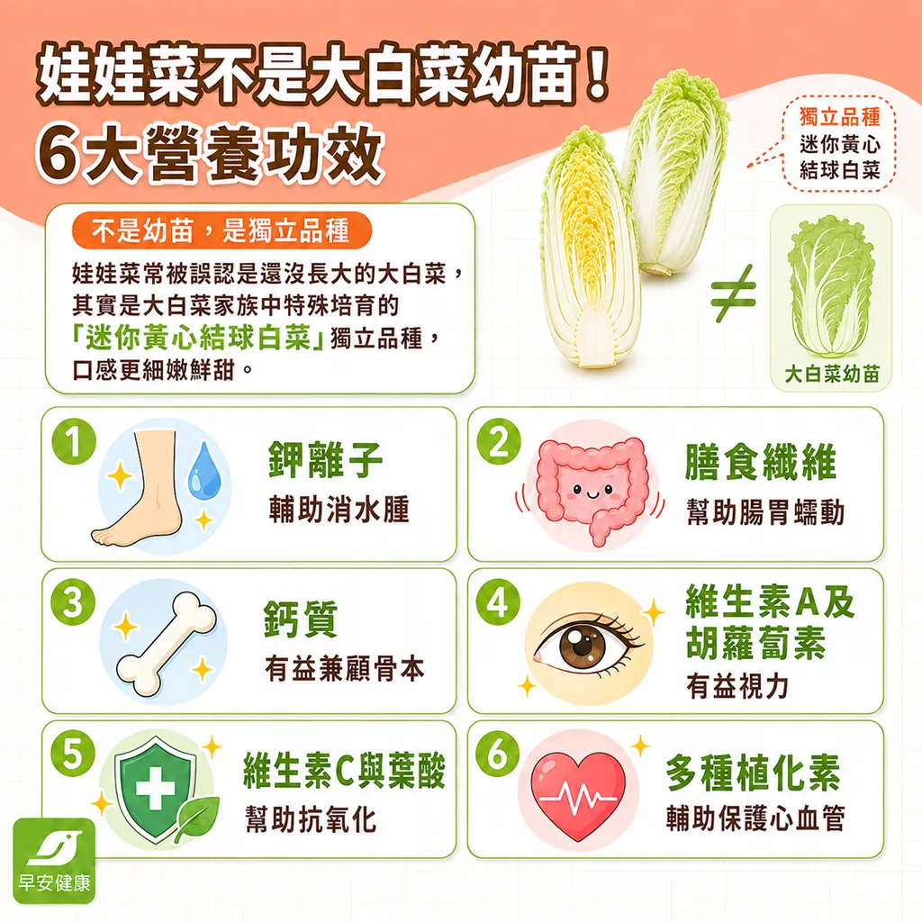 娃娃菜-娃娃白菜-娃娃菜營養-娃娃菜功效-娃娃菜不是大白菜幼苗
