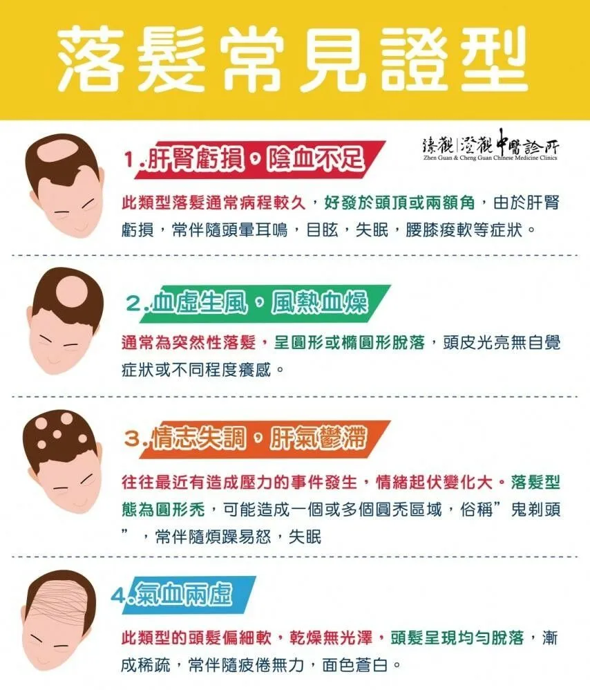 澄品中醫陳詩潔醫師_落髮常見證型