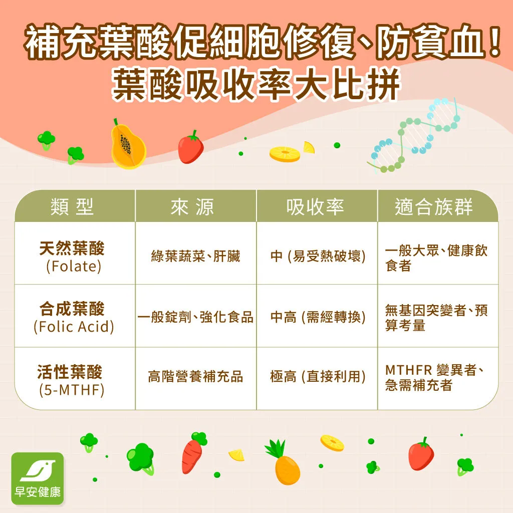 早安健康_葉酸吸收率大比拚